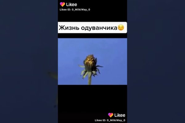 Блэк спрут официальная ссылка