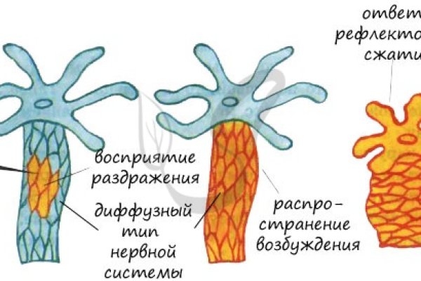 Блакед ком blacksprut adress com