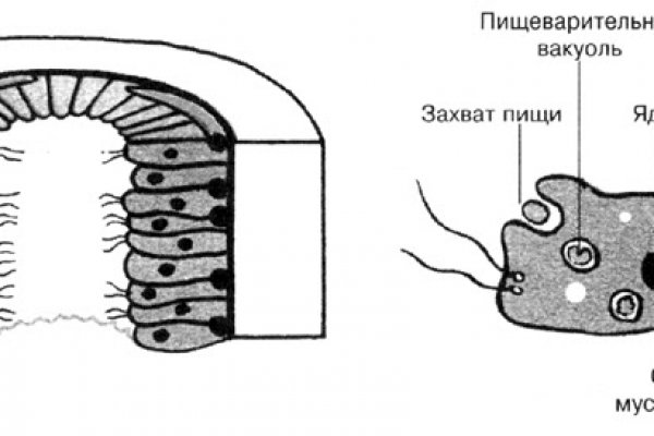 Bs gl ссылка blacksprute com